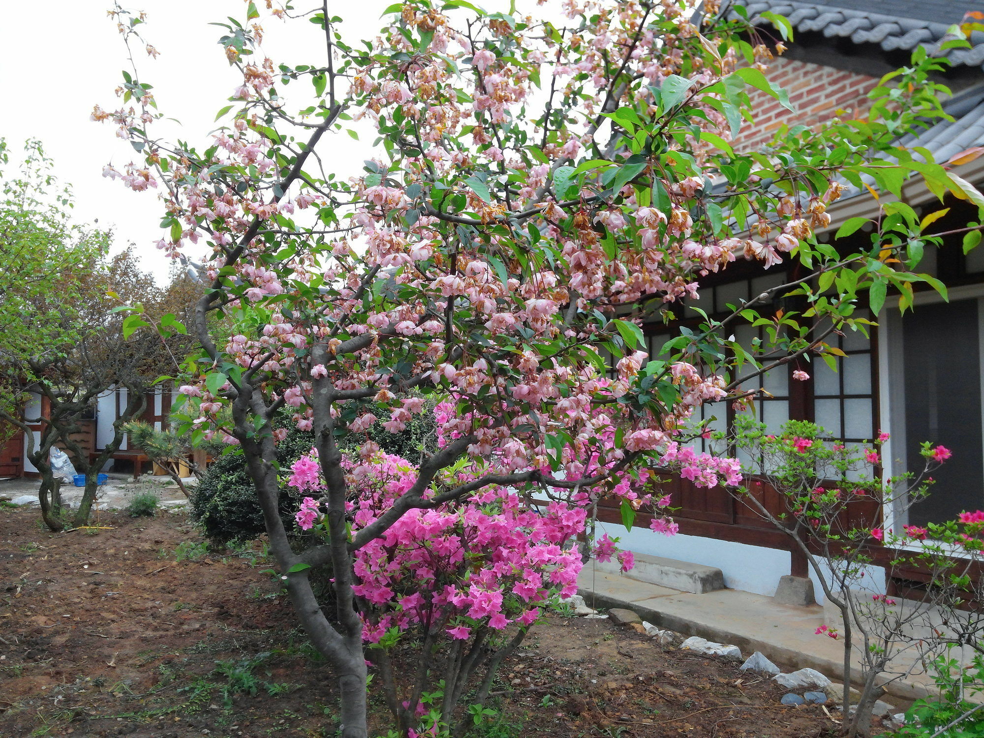 Sodamwon Jeonju Exterior photo